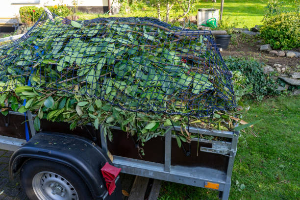 Professional Junk Removal Services in Redland, MD